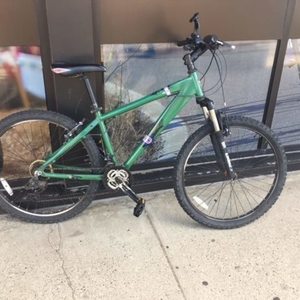 2008 Iron Horse Bicycles Freeride FR10 Green
