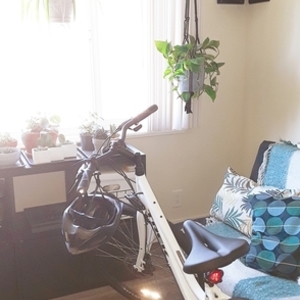 Trek Verve 1 White