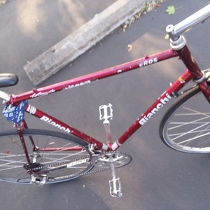 Bianchi Eros Red