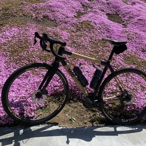 2019 Boo Bicycles sL gravel custom Orange and Black