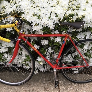 Trek Reynolds 531 Red