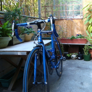 2012 SE Bikes Draft  Blue