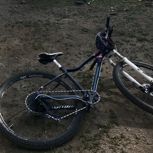 2019 Specialized Jett 29 Silver, gray or bare metal