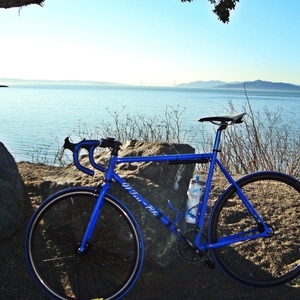 2012 SE Bikes Draft  Blue