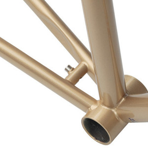 2007 Salsa Casseroll  Yellow or Gold