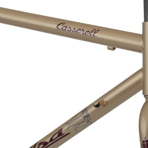 2007 Salsa Casseroll  Yellow or Gold
