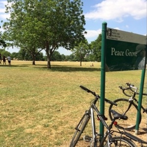 2014 Trek 7.2 FX  Silver or Gray