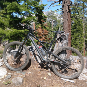 2019 Specialized Stumpjumper Black