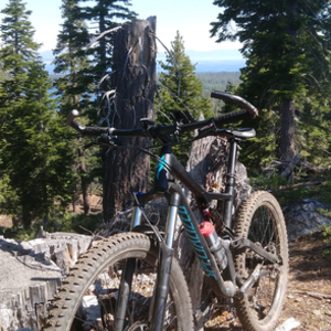 2019 Specialized Stumpjumper Black