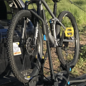 2019 Canyon bicycles Neuron Silver, gray or bare metal