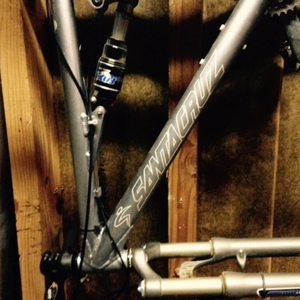 Santa Cruz Blur  Blue