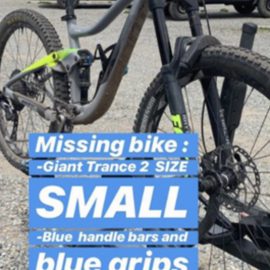 2018 Giant Trance 2 Silver, gray or bare metal, Green, and Blue