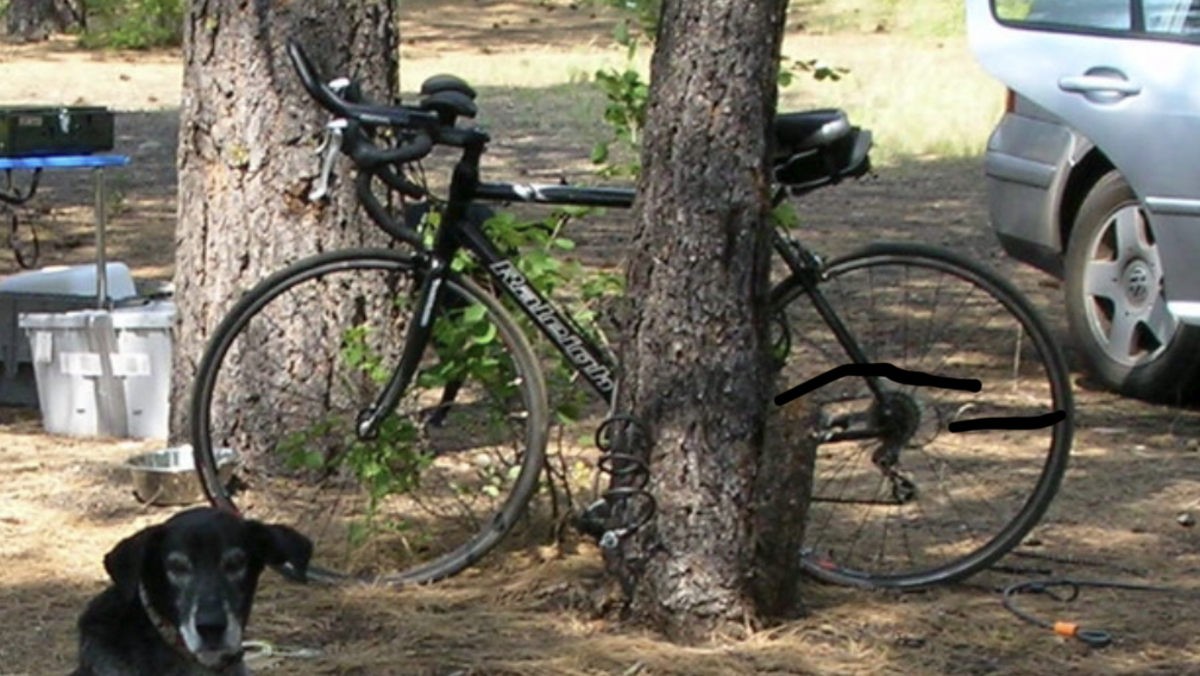 Bike photo