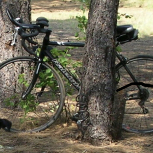 Raleigh Black