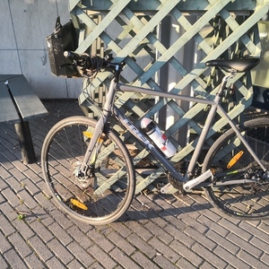 2015 Trek FX 7.4 DISC Silver, gray or bare metal