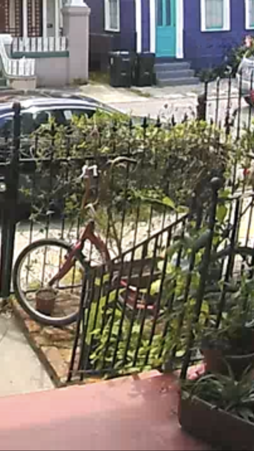 Tricycle photo