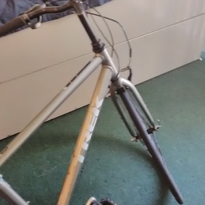 2019 Trek Yellow or Gold