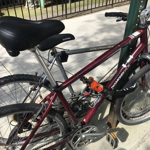 2019 Diamondback Edgewood Red