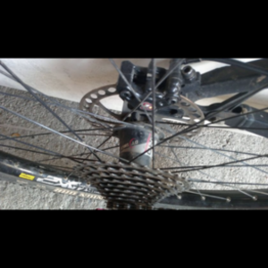 2011 Knolly Delirium Black