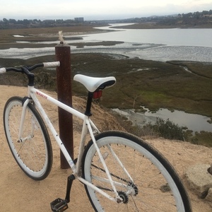 2014 Pure Fix Romeo  White