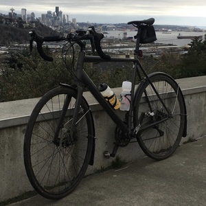 2017 Cannondale CAAD-X Silver, gray or bare metal