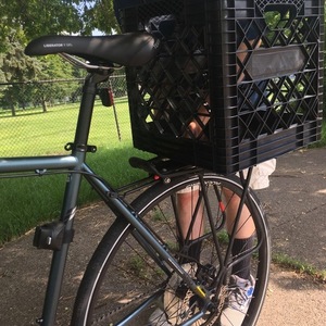 2019 Jamis Coda Comp Silver, gray or bare metal and Green