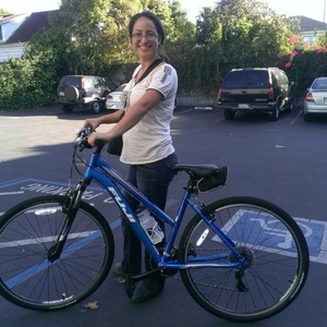 2014 Fuji Traverse 1.6  Blue