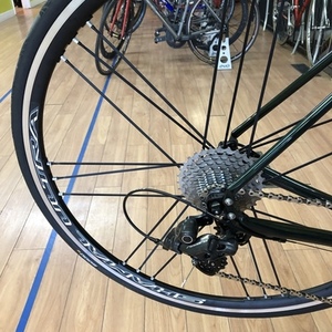 2019 T-Lab R3 Green and Silver, gray or bare metal