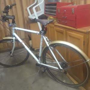 2015 Raleigh Ranier Port Townsend White