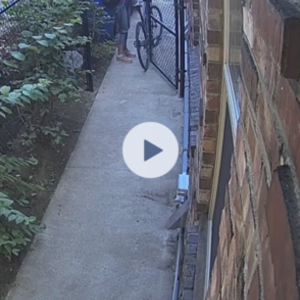 2019 REI Co-op Cycles CTY 1.1 Bike (Hybrid) Blue