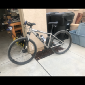 2019 Trek Marlin WSD Silver, gray or bare metal