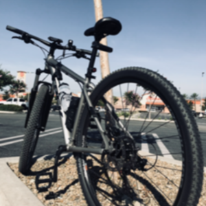 2019 Trek Marlin WSD Silver, gray or bare metal