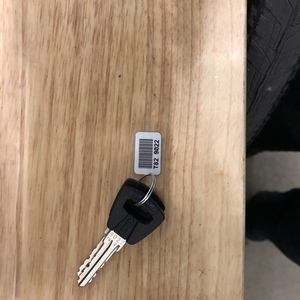 2019 Trek Verve+ Blue
