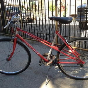 Centurion bicycle Red