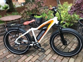 2019 Rad Power Bikes RadRover Electric 