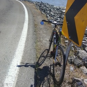 2009 Pake Limited Edition Track Frame Yellow or Gold and Black