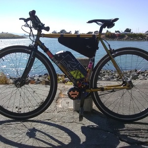 2009 Pake Limited Edition Track Frame Yellow or Gold and Black