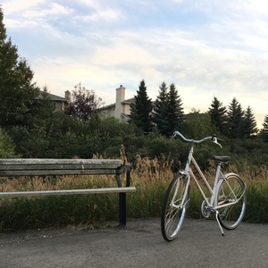 Simcoe Classic Step Through 7 Speed White