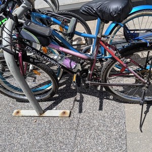 Raleigh Pink