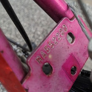 Raleigh Pink