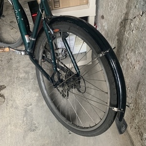 Cannondale F1000 Purple and Green