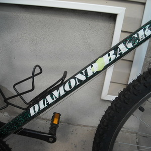 Diamondback DB Ascent Black and Green