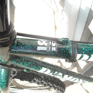 Diamondback DB Ascent Black and Green