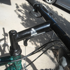 Diamondback DB Ascent Black and Green