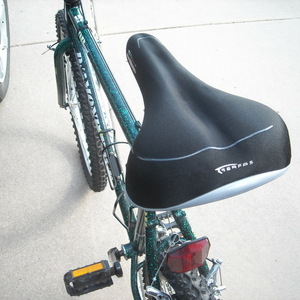 Diamondback DB Ascent Black and Green