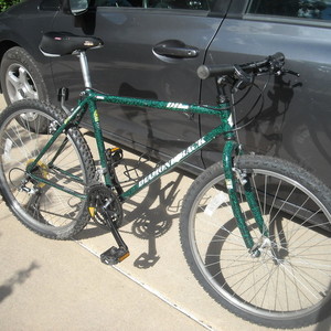Diamondback DB Ascent Black and Green