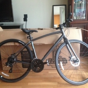 2019 Raleigh Silver, gray or bare metal