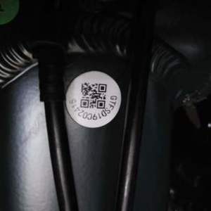 2019 GT Bicycles Mountain Bike Green