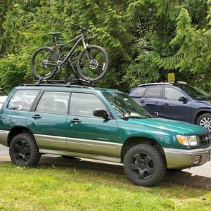 2019 REI Black