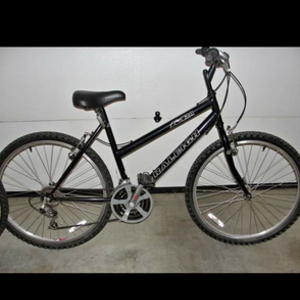 Raleigh M20 Black